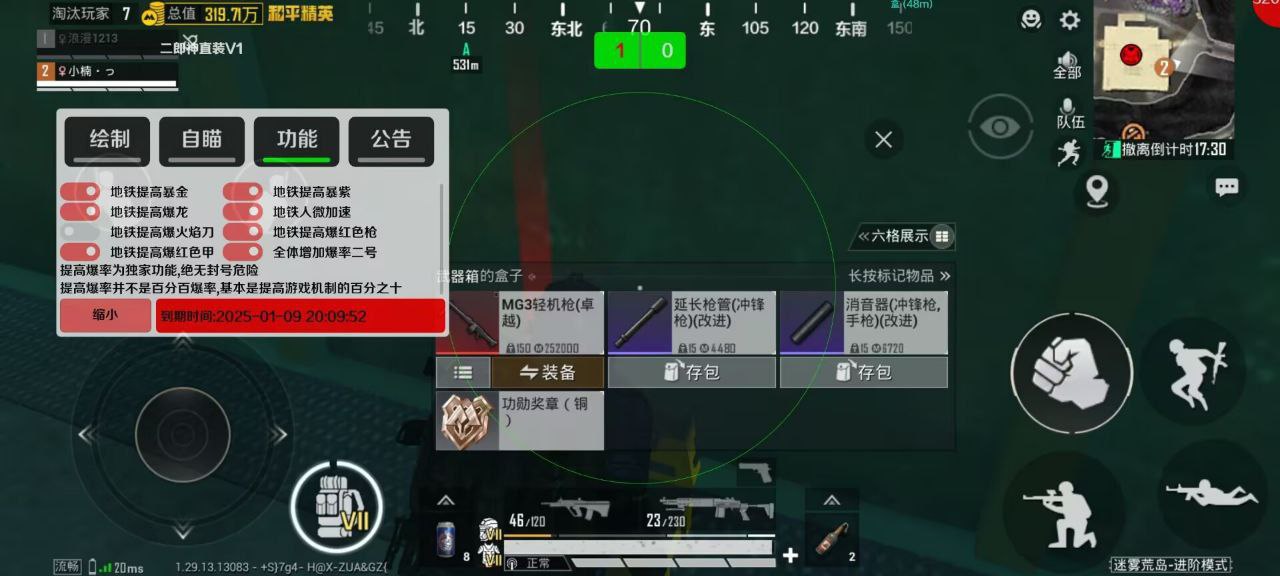 和平精英辅助【神眸】